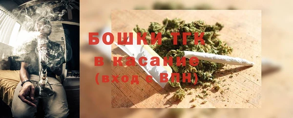 молекула духа Краснослободск