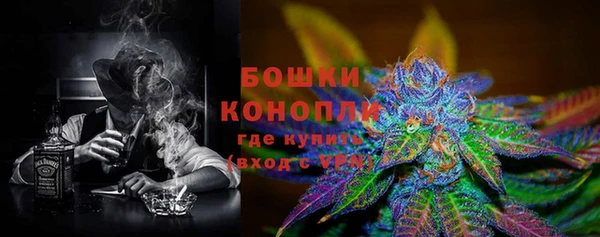 молекула духа Краснослободск