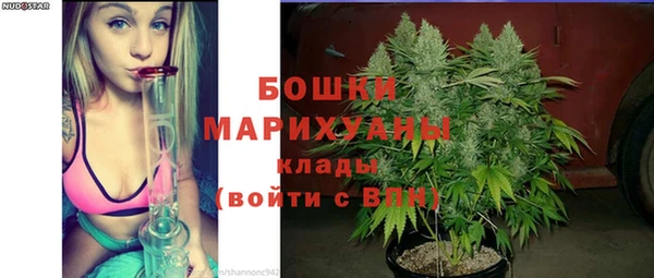 молекула духа Краснослободск