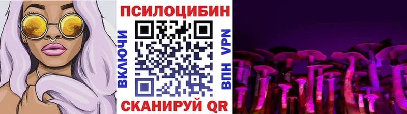 Галлюциногенные грибы Magic Shrooms  купить наркотики цена  маркетплейс телеграм  Черняховск  omg ONION 
