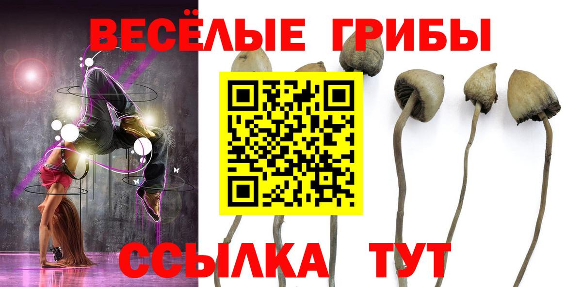 Псилоцибиновые грибы Cubensis  Галлюциногенные грибы ЛСД  Вход с VPN  Черняховск 