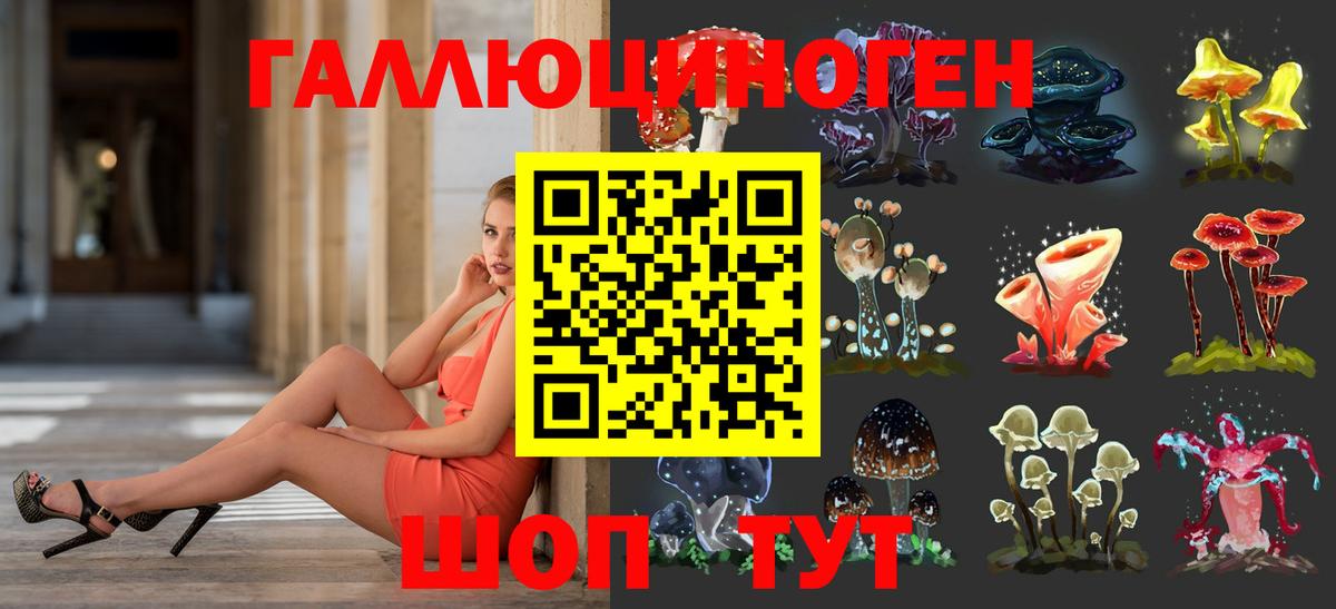 Псилоцибиновые грибы мухоморы Черняховск