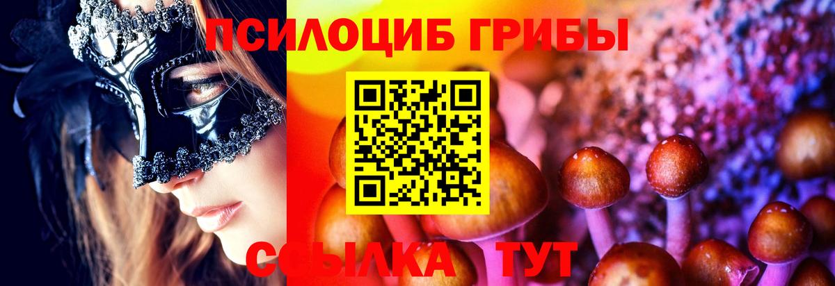Галлюциногенные грибы мицелий  Черняховск 