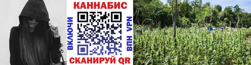 Шишки марихуана OG Kush  что такое наркотик  Черняховск 